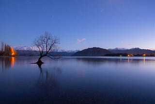 With dawn approaching, stars twinkle in the sky above the famous tree at Lake Wanaka, on New Zealand’s South Island.