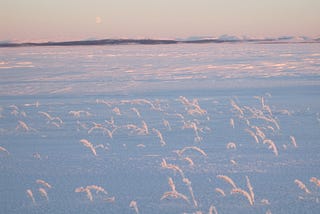 a pastel sunrise over the snow