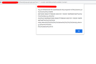 Reflected XSS on Admin Login Page