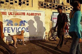 The Shadow Isn’t Real
