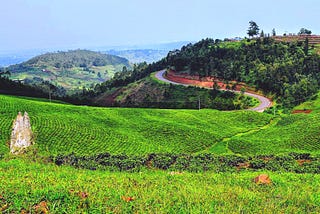 Teaching and Learning Hinge on Trust: Reflections from Rwanda