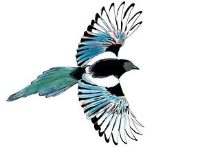 Magpie