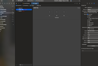 Set up Splash screen in React Native for iOS | 2024