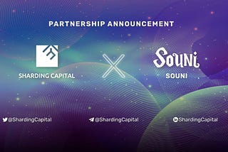Sharding Capital invested in SOUNI ✨