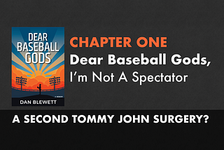 Dear Baseball Gods: A Memoir | Free Sample Chapter of the Book