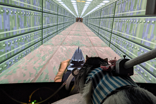 Rats in Doom VR