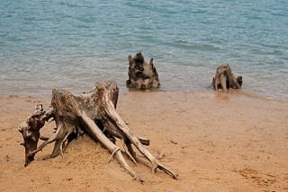 An Introduction to Spring Declarative HTTP Client