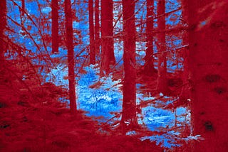 Red & Blue