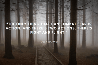 Unity — Fight or Flight