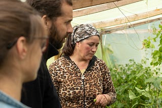 Insertando a pequeños agricultores al mercado formal en el sur de Chile.