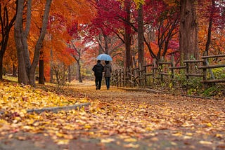 A couple walks through autumn leaves.