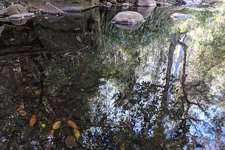 Change without return: postcard of a northern NSW holiday