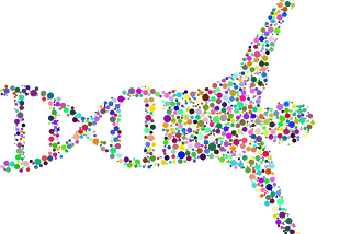 The astronomical length of DNA