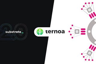 Ternoa, the blockchain behind the project