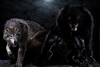 Image of two werewolves, one black, the other grey.