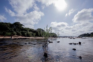 Julgamento decisivo pode liberar licenciamento para projeto de mineração da Belo Sun no Pará