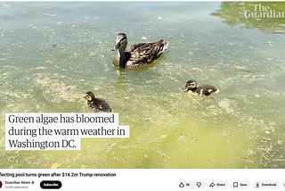 White Supremacy Vs. Algae Bloom: The National Pretense May Be Over