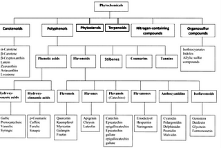 Types-of-phytochemcial