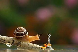Why Snail Goes Slow