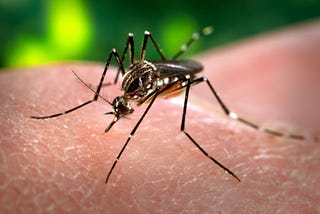 Dengue : Soon You Can Be Part Of History