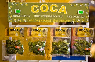 What Coca Tea Can Teach Us About CBD