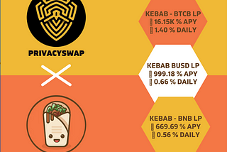 KEBAB — BTCB LP, KEBAB BUSD LP & KEBAB — BNB LP is now part of 🔐 PrivacySwap