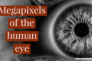 how many megapixels is the human eye