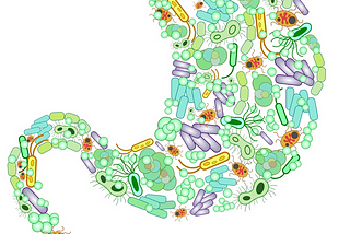 The Gut-microbiome : a potential ally under siege from AMR