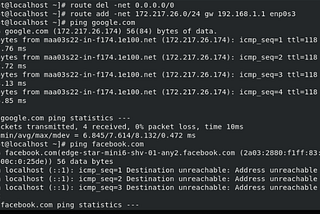 Setup to be able to ping google and not facebook
