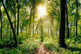 Selfish Environmentalism