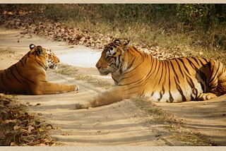 Which places to visit when staying at the Best Resorts near Kanha National Park?