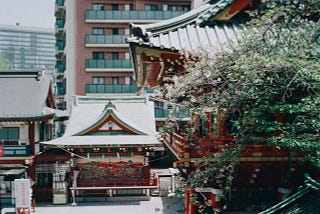 The tree and the shrine.