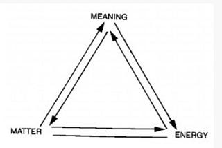 David Bohm’s matter-energy-meaning equivalence proposal through six examples