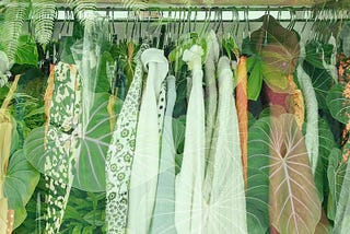 Greening your wardrobe? Why it’s more about thought than action.