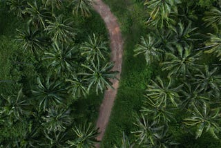 Drone registration Thailand, How to register a drone in Thailand, Thailand drone laws, Drone flying regulations Thailand, DCA drone registration, Thailand drone permit process
