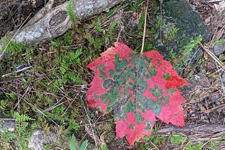 Message on the Trail