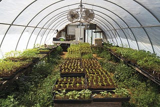 How big of a greenhouse do you need to feed your family?