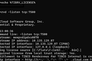 How to set a default license when using Rendezvous in auto start mode