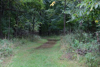 A Moment with Nature