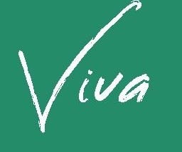 Viva: Decentralized Finance on the Vite network