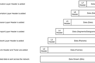 Introductory Networking