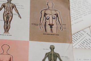 A photograph of a biology book.