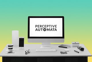 The Internship Experience at Perceptive Automata