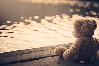 teddy bear sitting at a pond watching the sun set