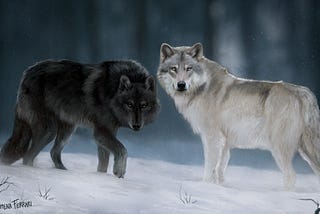 Your Two Wolves