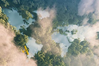Thallo: Climate Tech 3.0