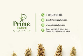 What is Psyllium Husk?
