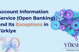 Account Information Service and Its Exceptions in Türkiye