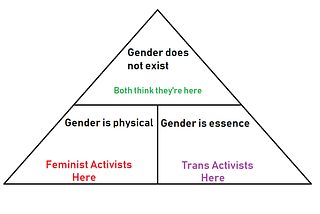 Why can’t feminists and trans activists get along?