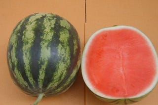 watermelon